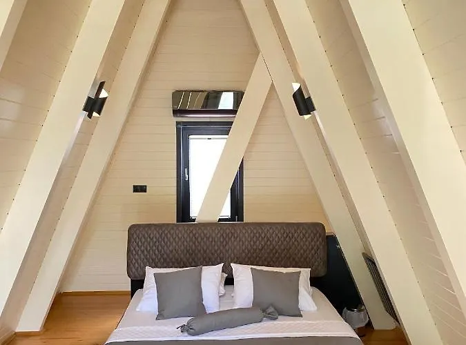 Eksado * ספנג'ה