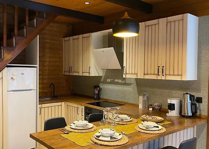 Eksado * ספנג'ה